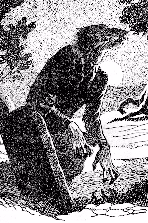 Five Horror Novels Unleash the Monster's Voice in 2026